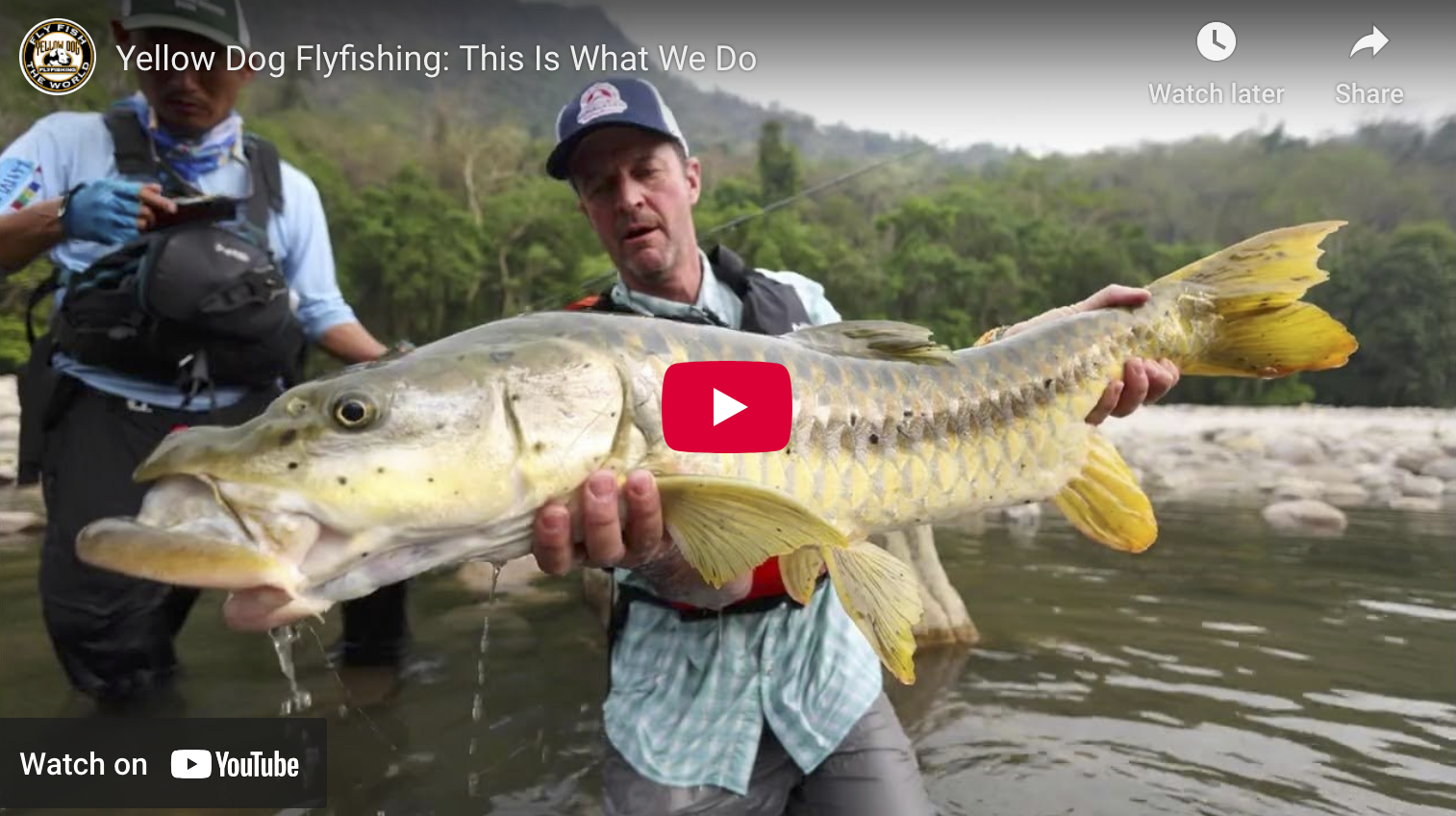 video cover image of an angler holding a fish