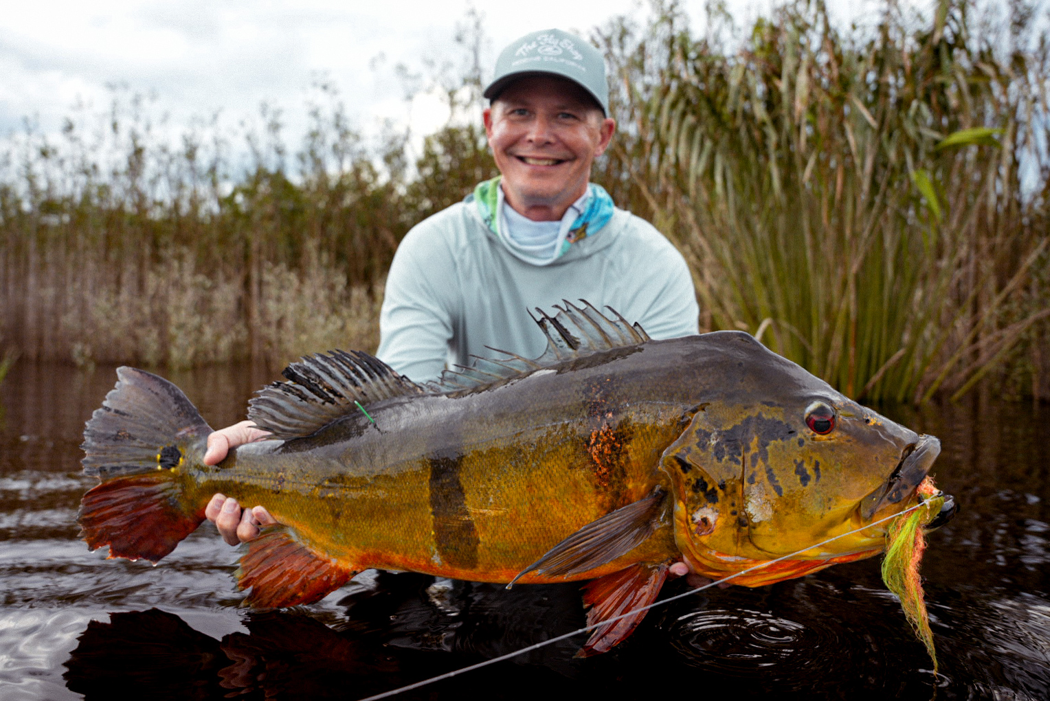 Fly Fishing for Peacock Bass in Brazil in Persistence – The