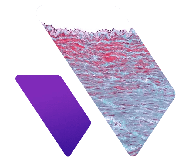 Preclinical Contract Research Services - Professional HD Dark Images | Free Download