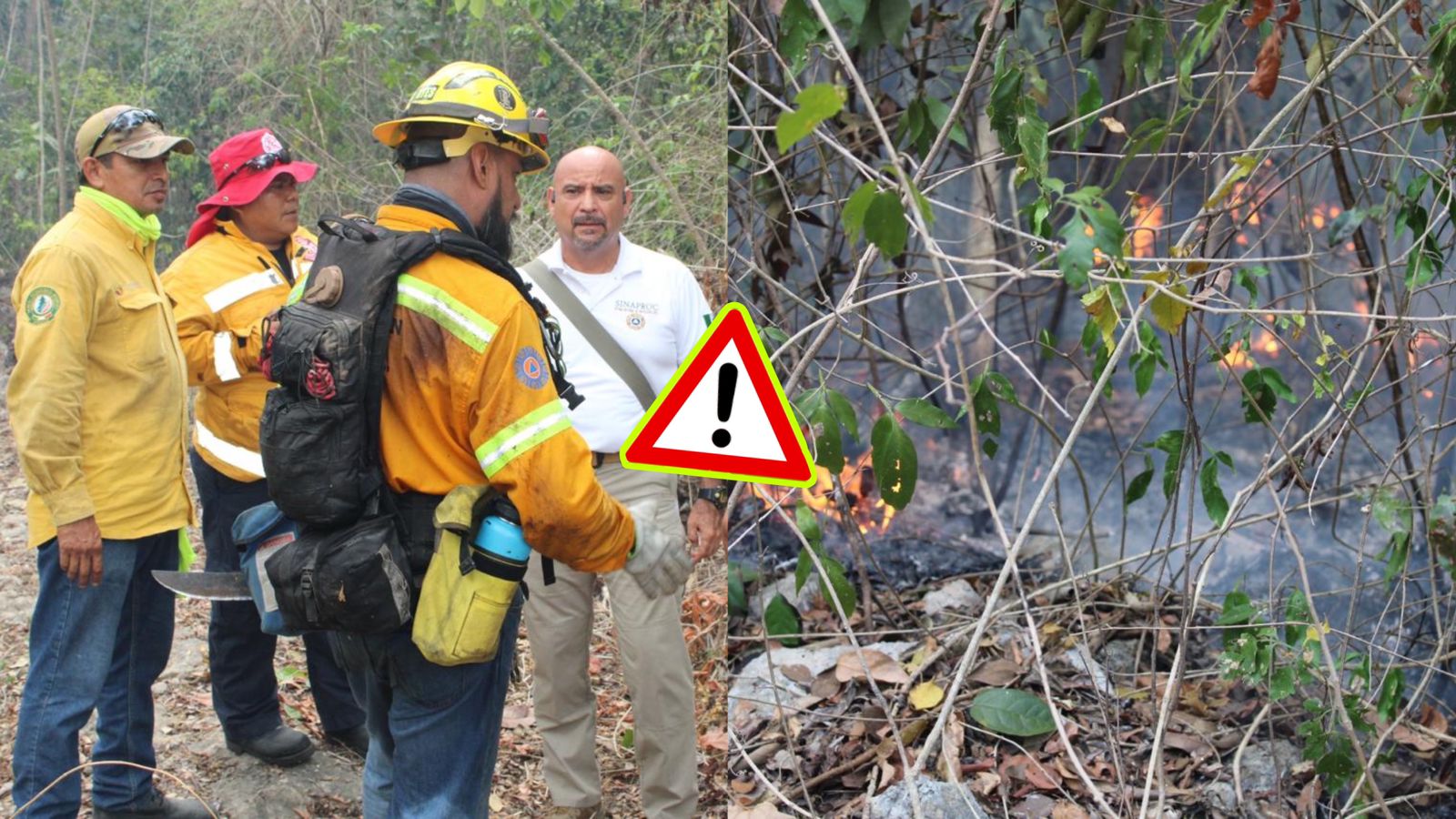 Bomberos lanzan recomendaciones ante los incendios forestales