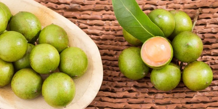 “Guaya”, el fruto tropical que es un tesoro en el sureste mexicano 1 “Guaya”, el fruto tropical que es un tesoro en el sureste mexicano