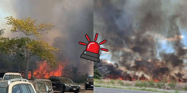 Fuerte incendio amenaza con llegar a la ciudad de Mérida  1 Fuerte incendio amenaza con llegar a la ciudad de Mérida