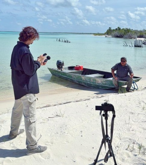 Nuevas posibles especies de cocodrilos de Cozumel, saldrán en documental internacional