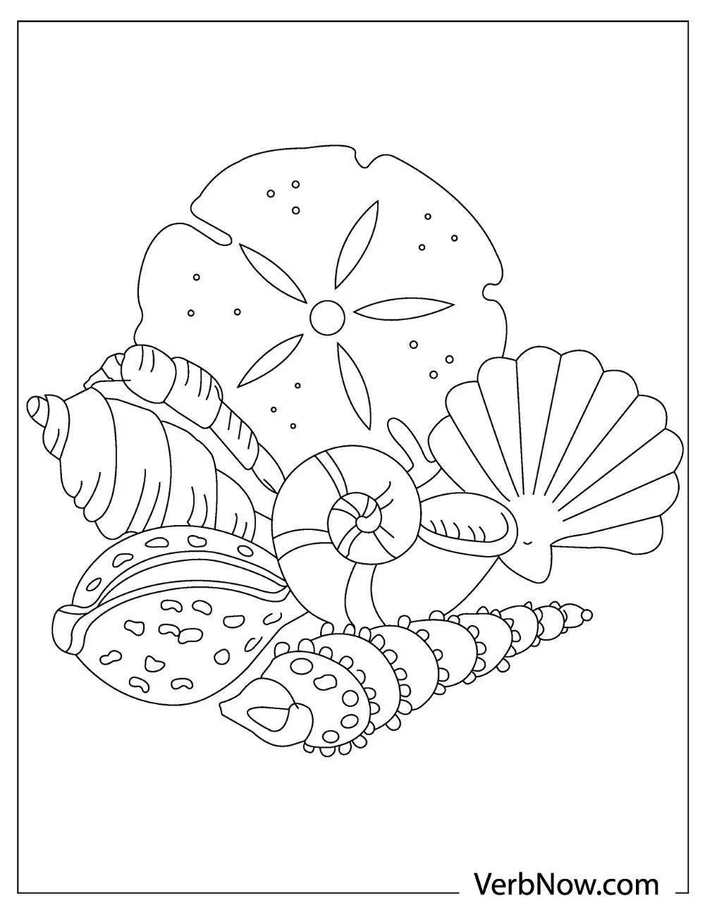 Collection of shell coloring pages