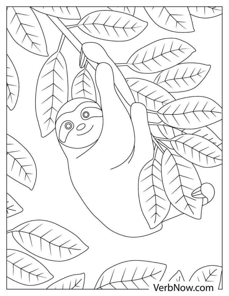 free sloth coloring pages book for download printable pdf verbnow