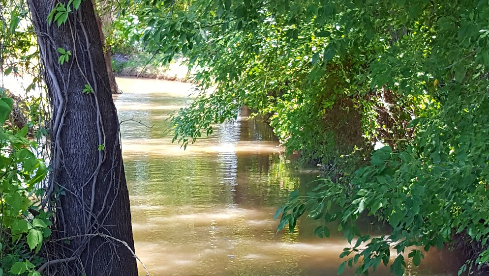 Ditch