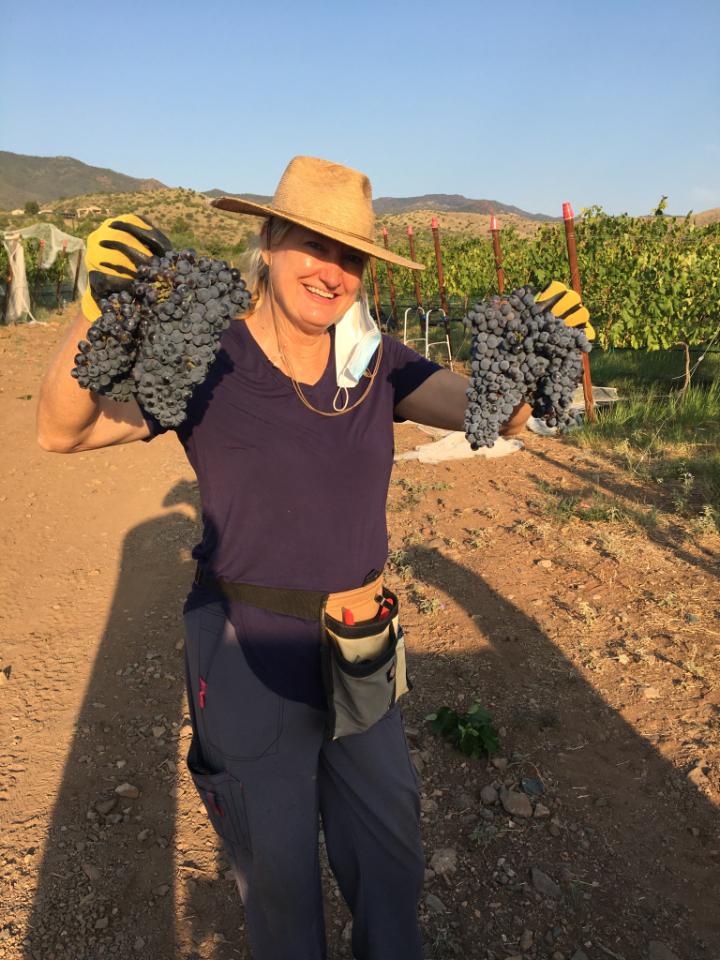 Luscious grape clusters