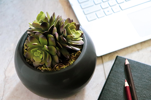 Working as a content writer
