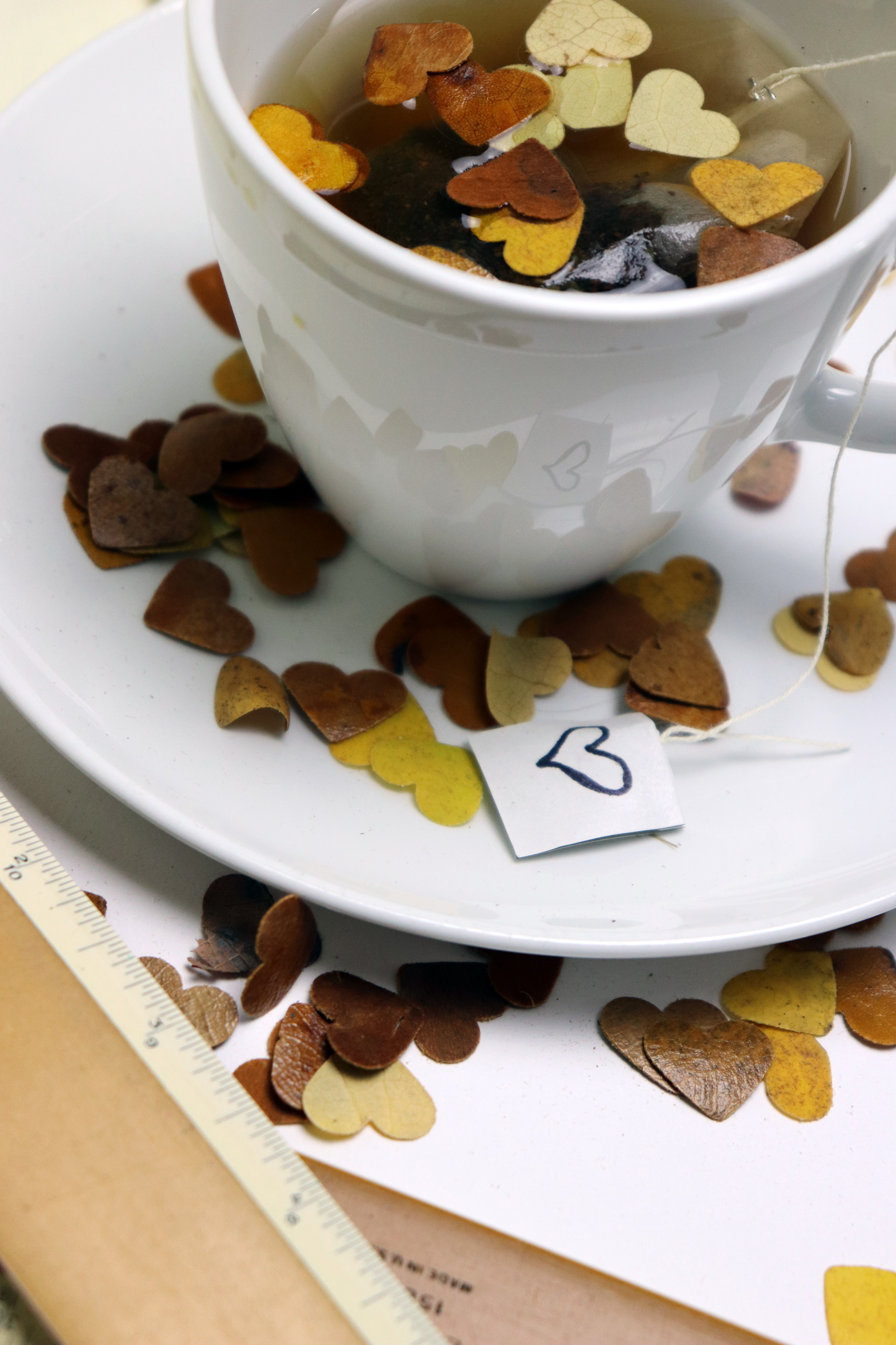 Leaf Confetti for Autumn Product Photography
