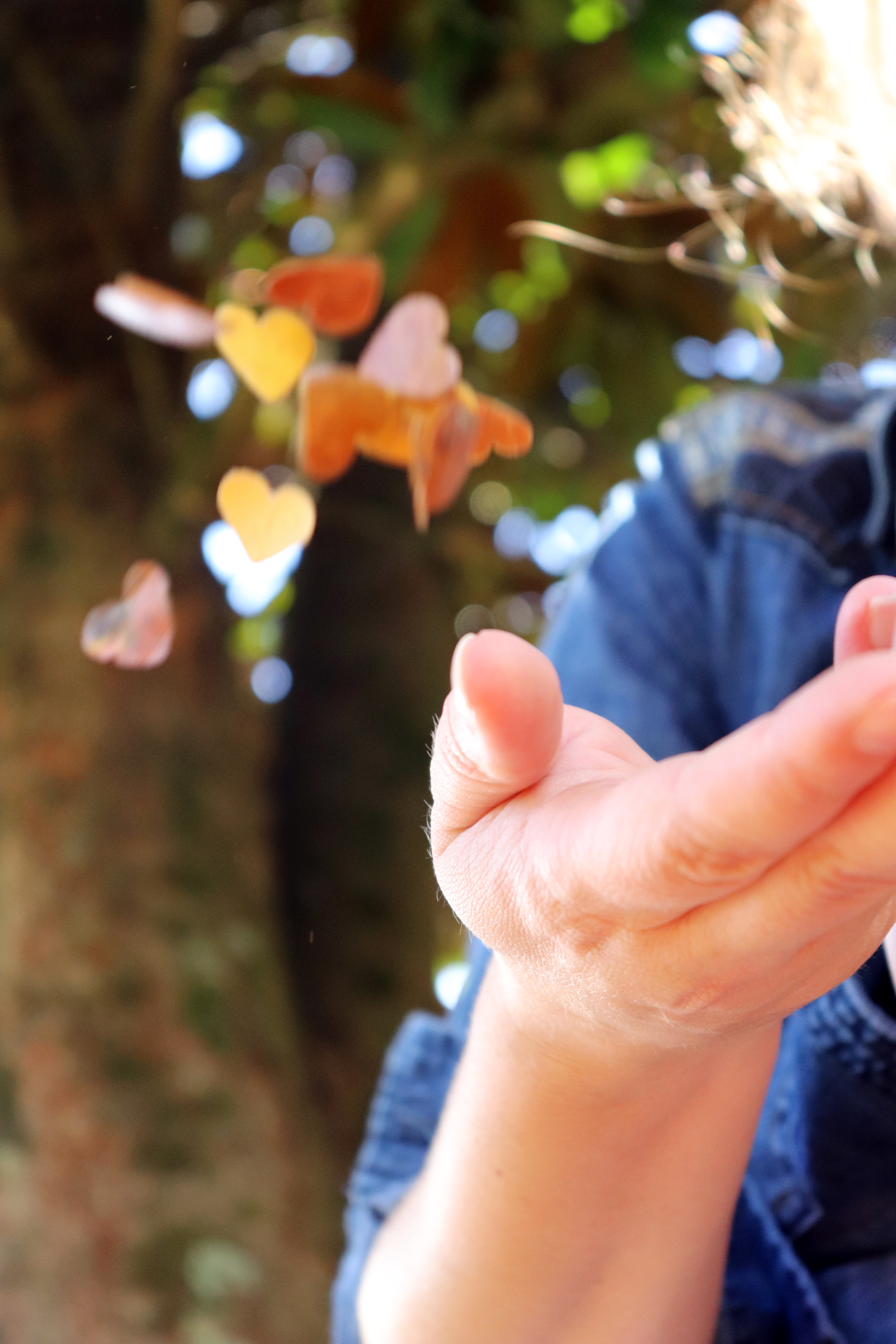 Leaf Confetti for autumn photography