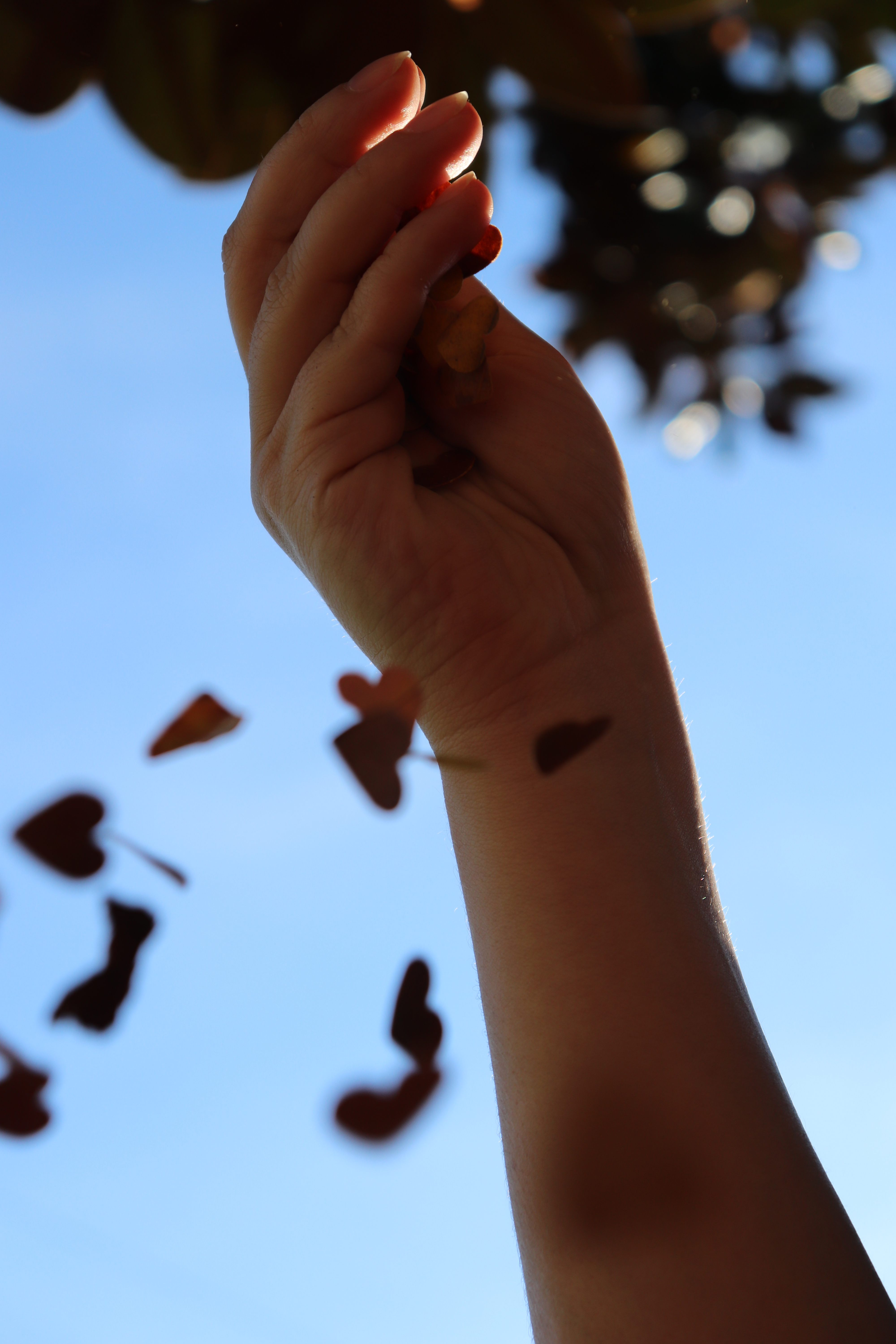 Leaf Confetti for autumn photography