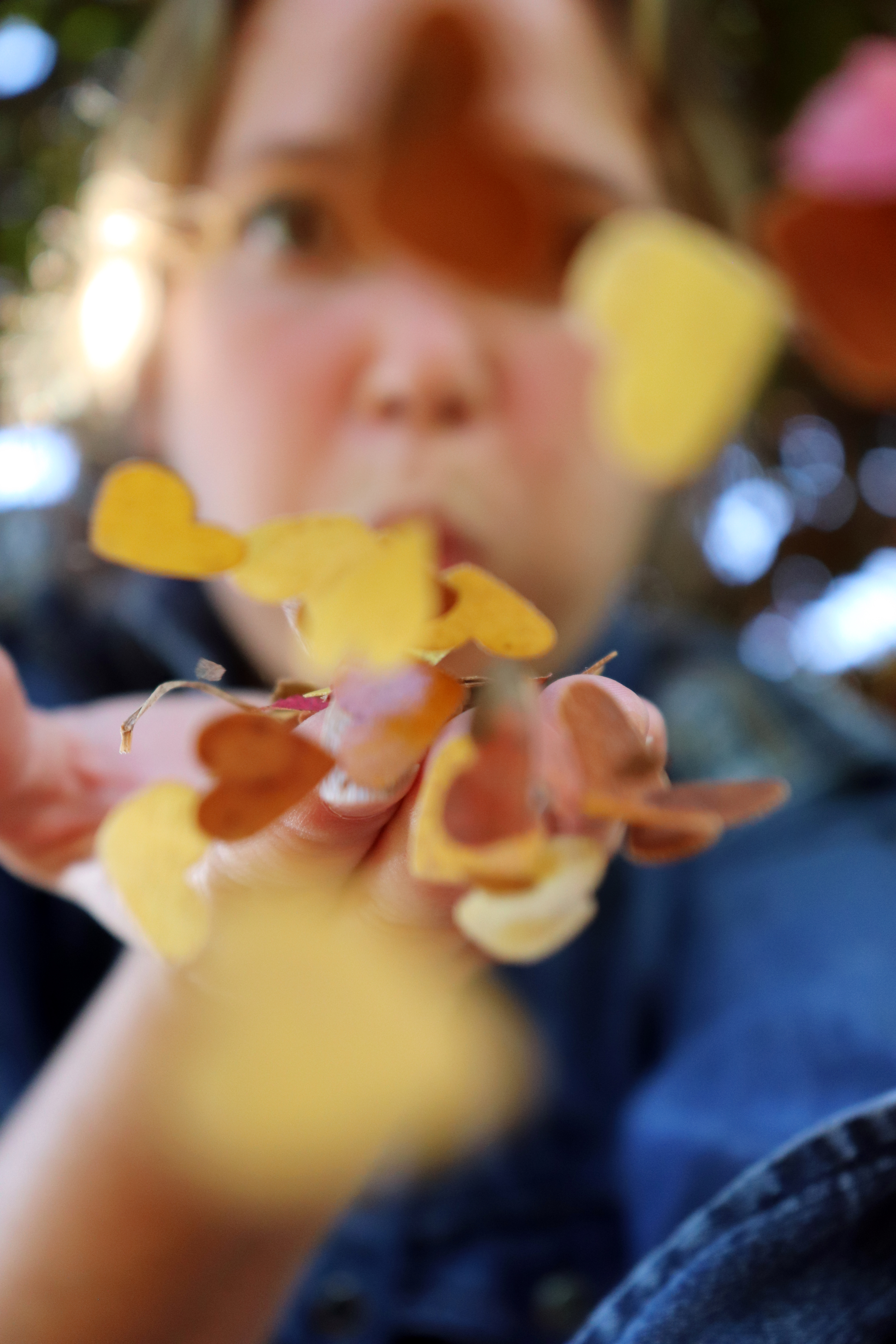Leaf Confetti for autumn photography