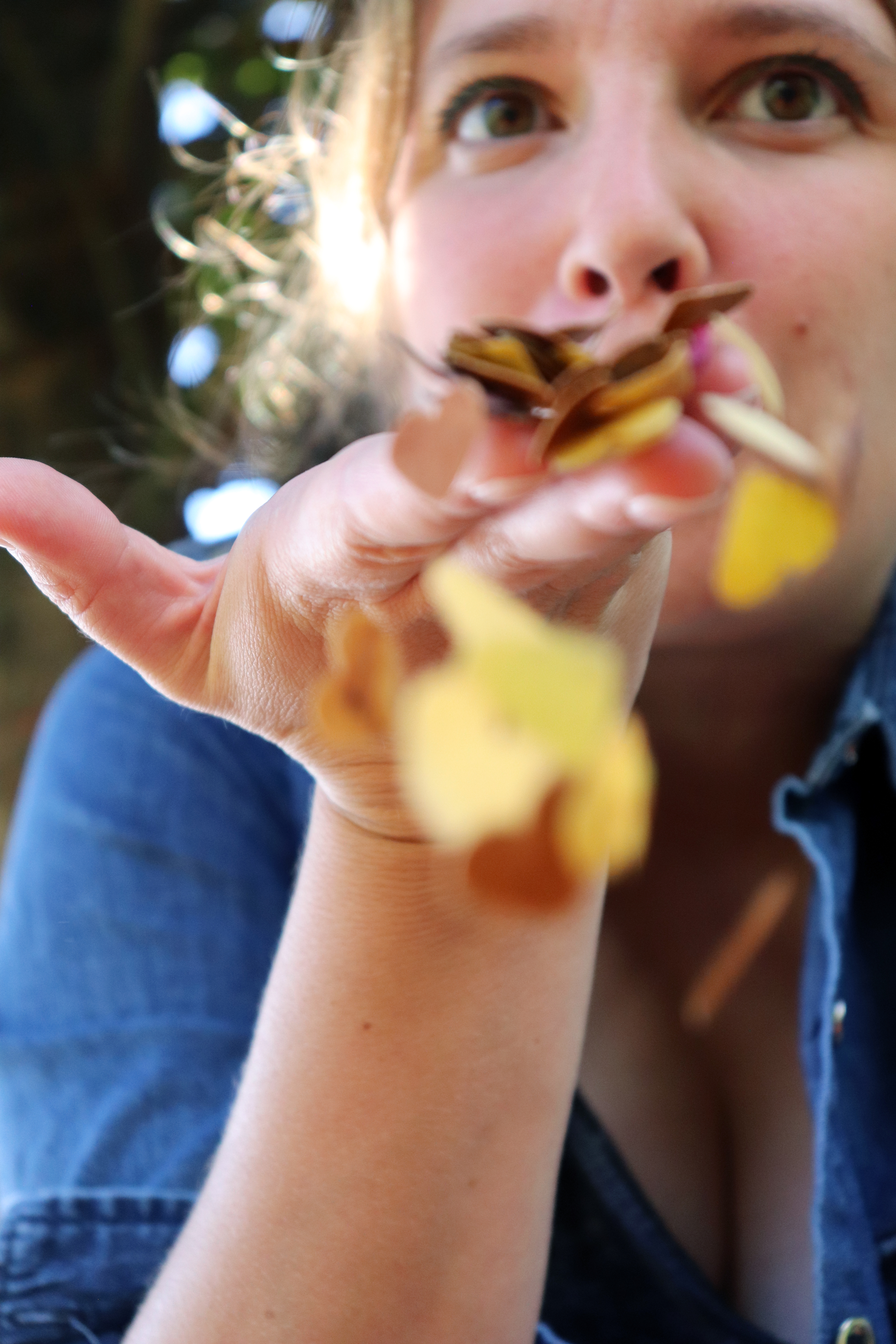 Leaf Confetti for autumn photography