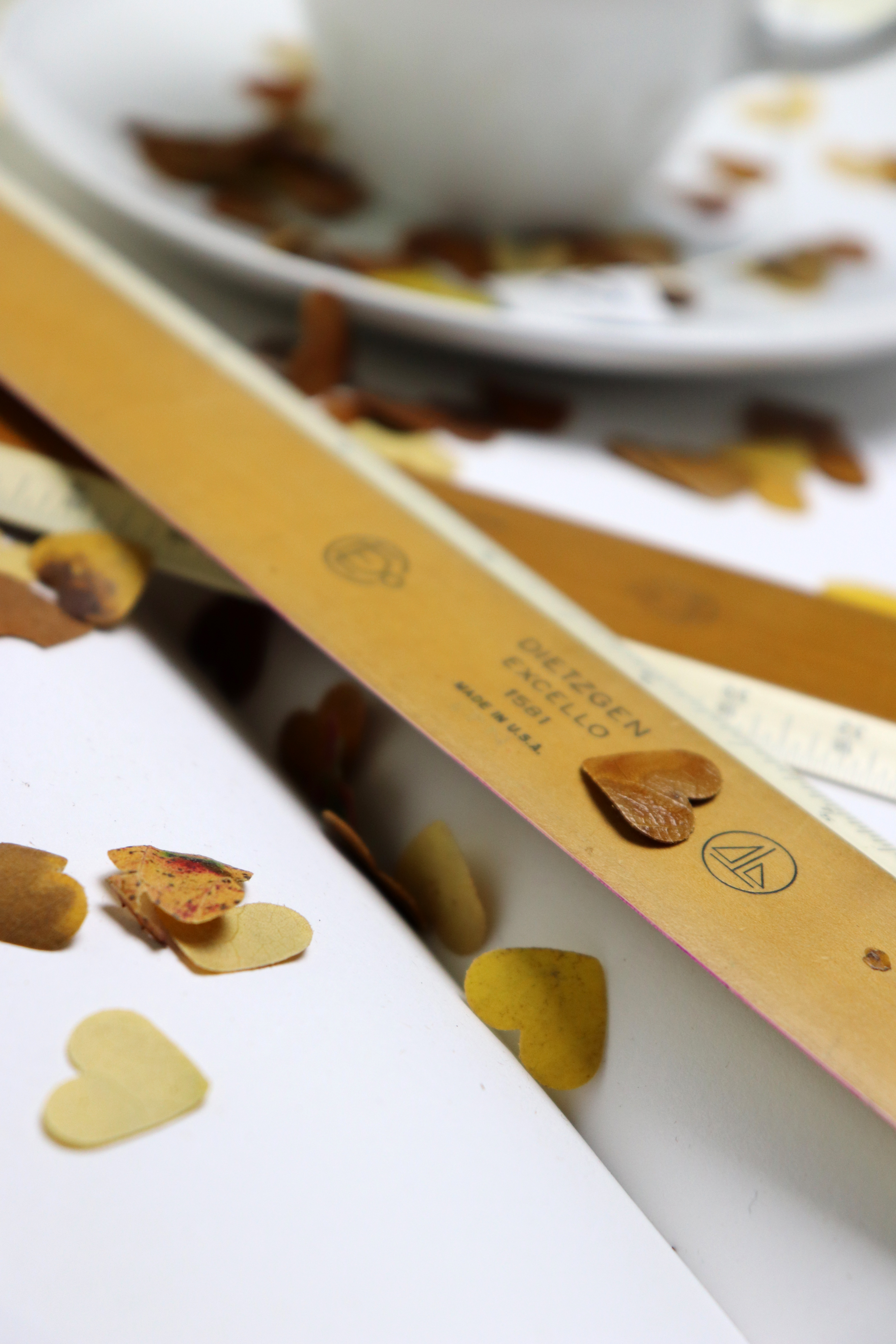 Leaf Confetti for Autumn Product Photography