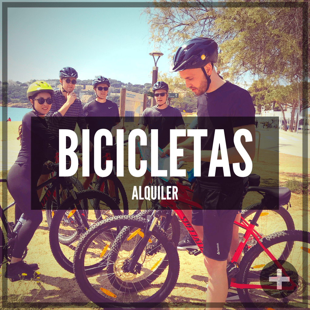 Bicicletas alquiler