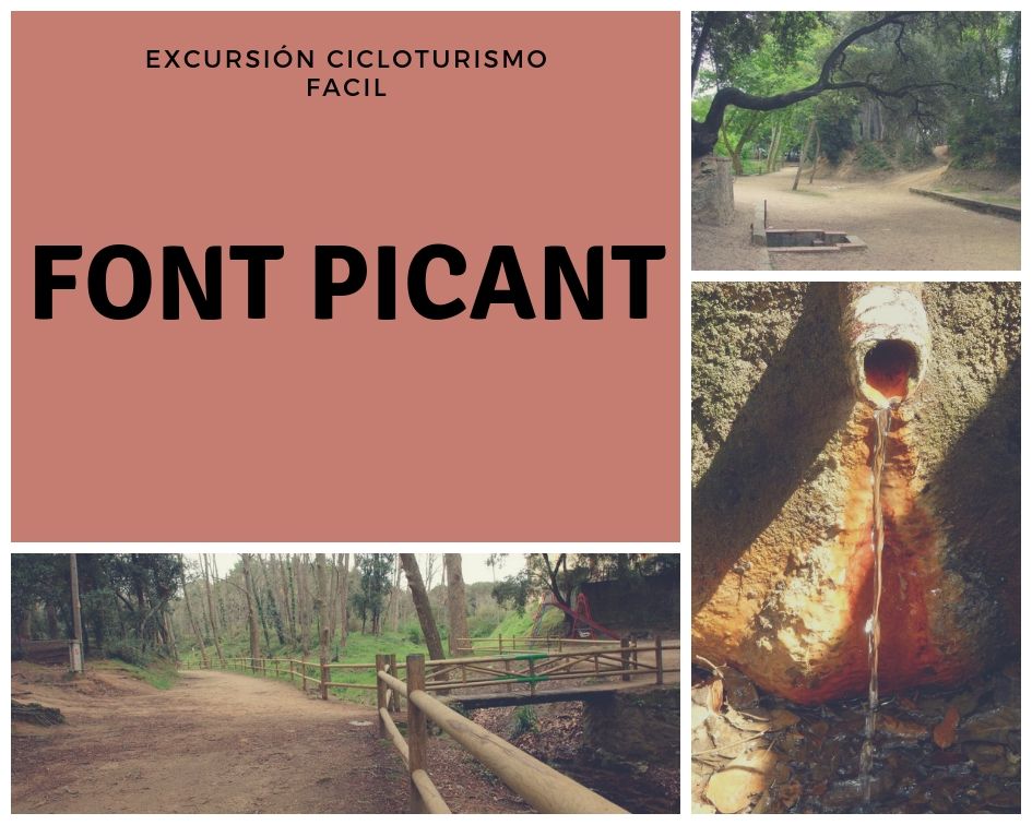 Ruta Facil