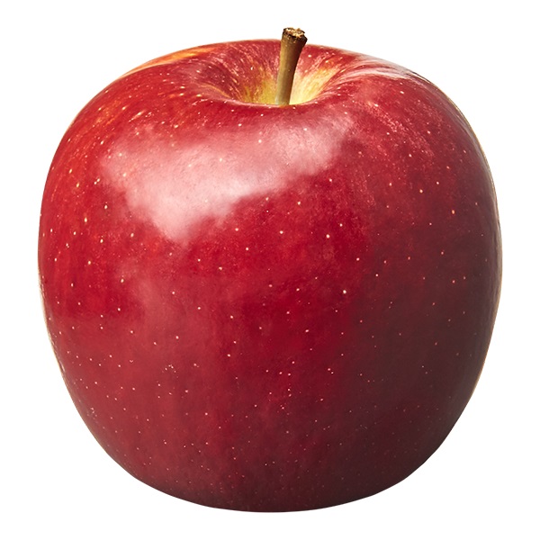 Apple variety guide