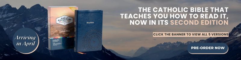 Veritatis Github - Premium City Pattern Gallery - Desktop