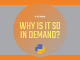 Why Are Python Resources In Such Demand Vertex It Solutions