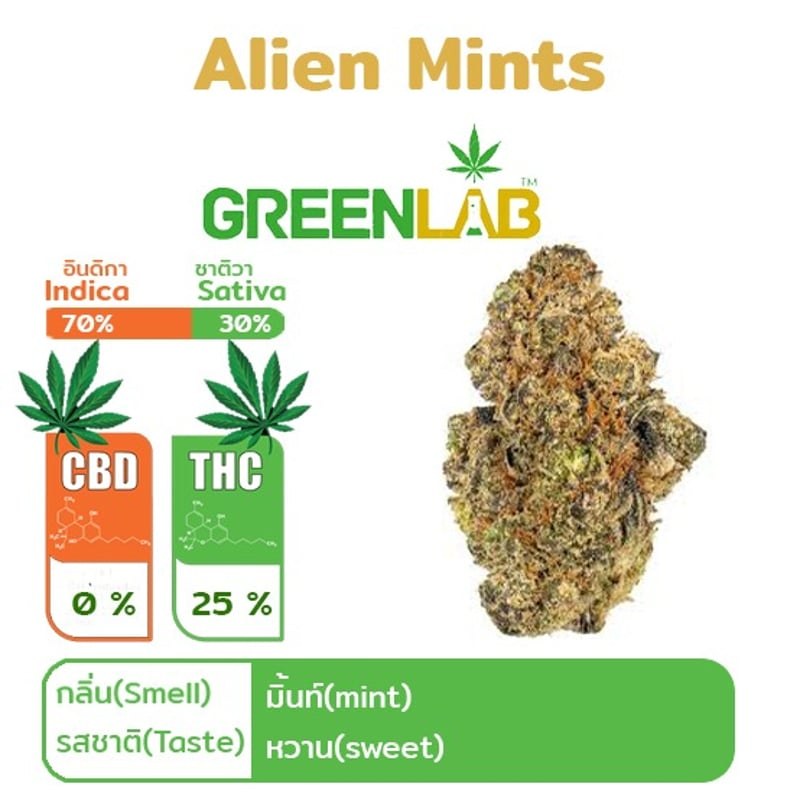 Alien Mints strain flower