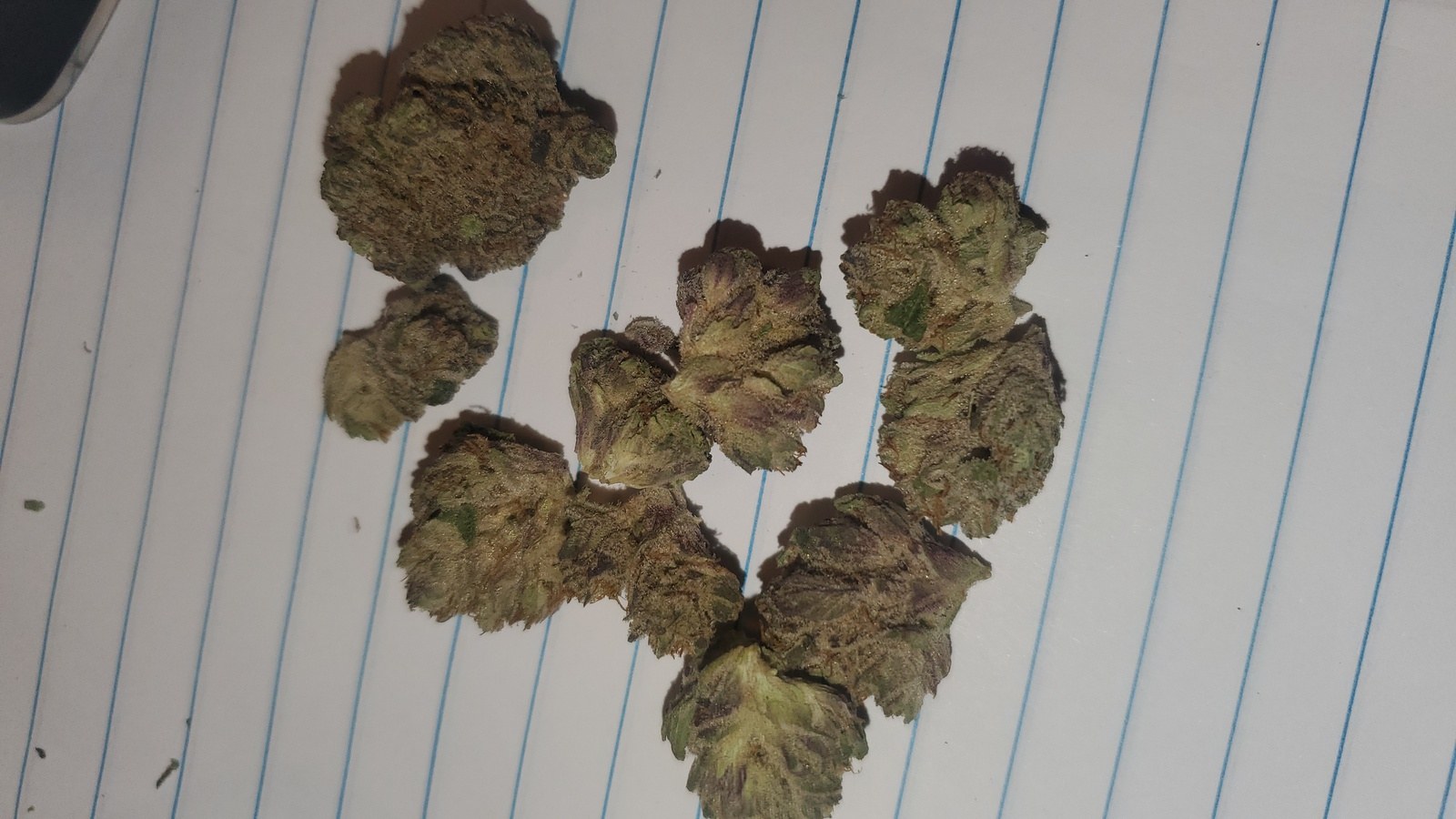 Alien Mints strain flower image 4