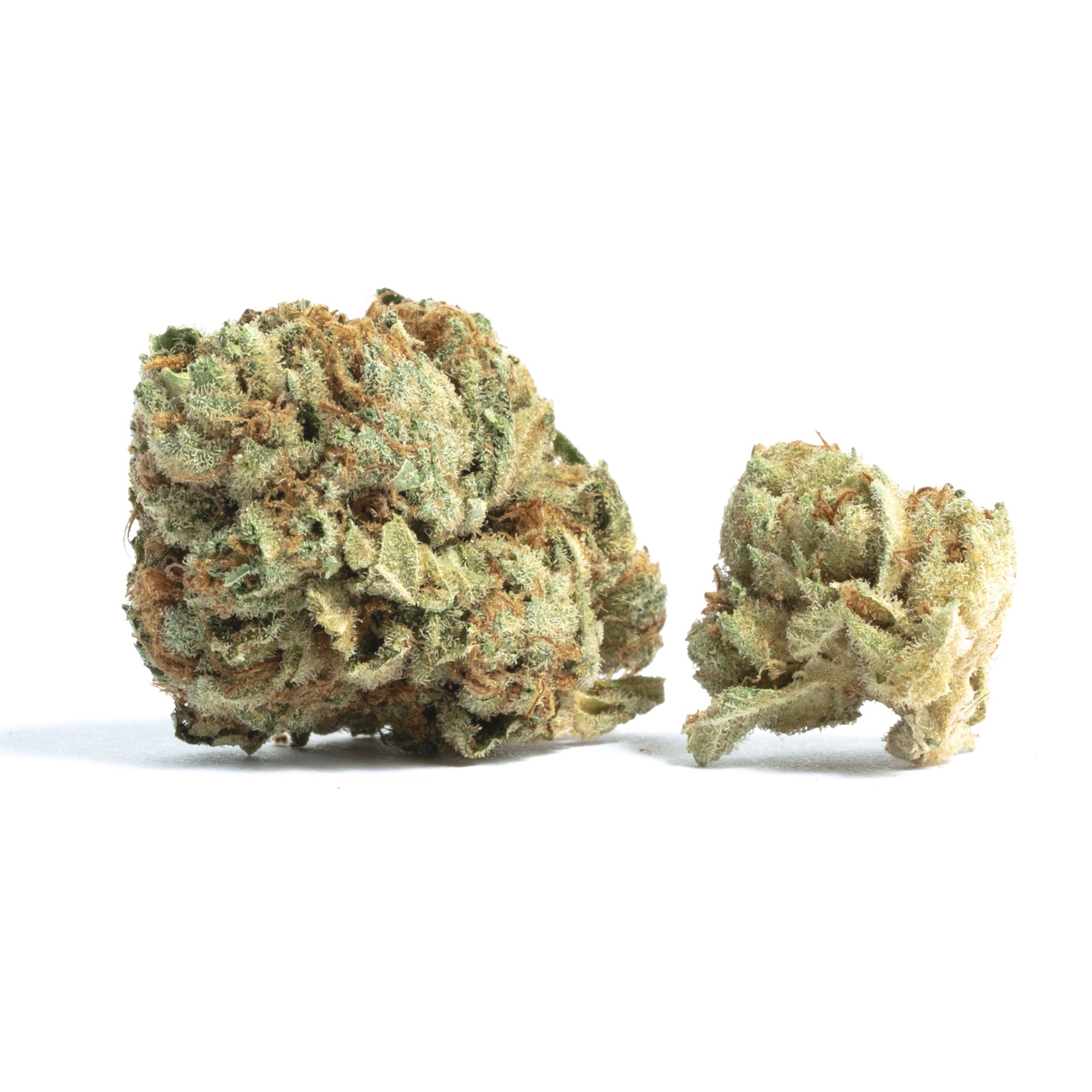 Alien Mints strain flower image 5