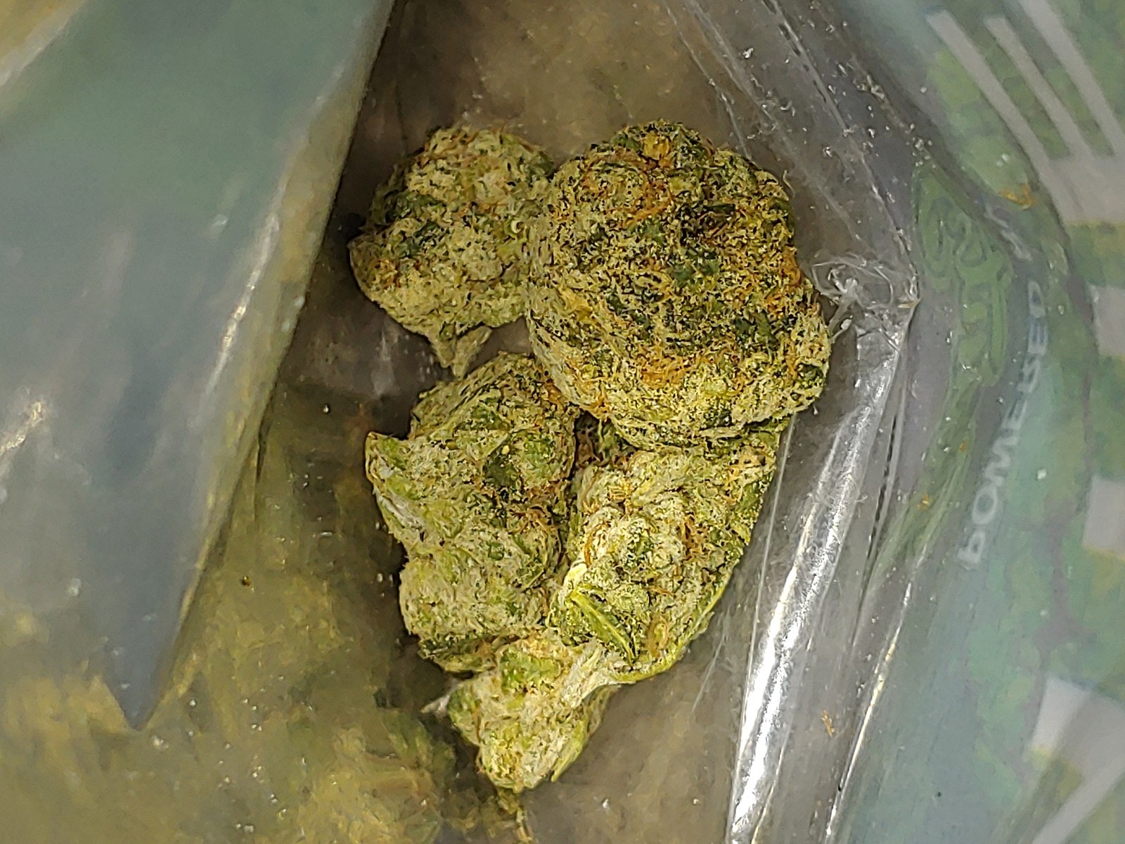 Alien Technology strain flower image 5