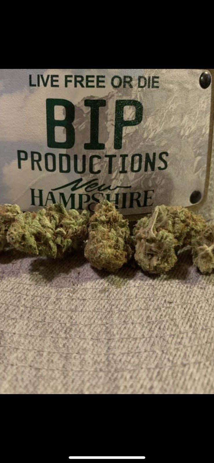 Apollo 13 strain flower