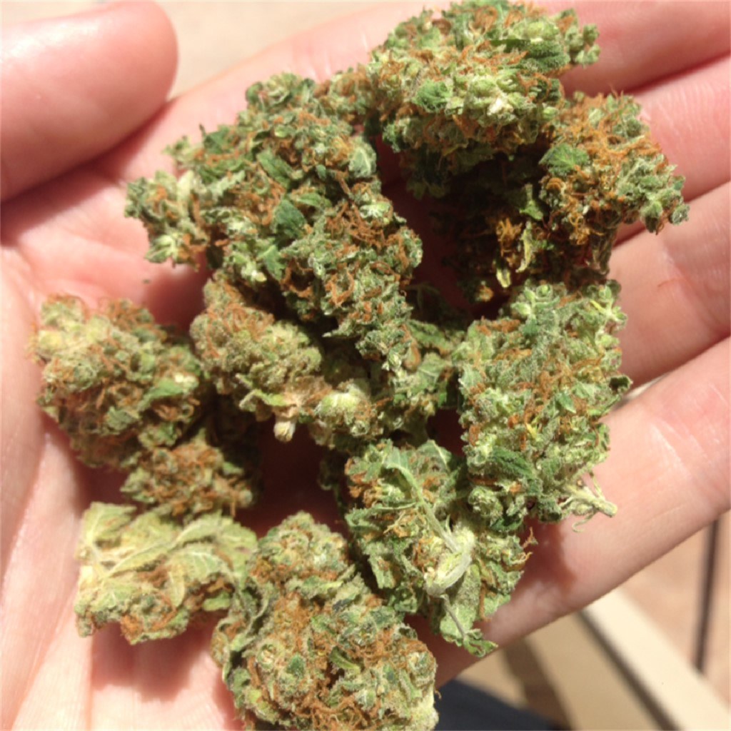 Bubble Berry strain flower image 2