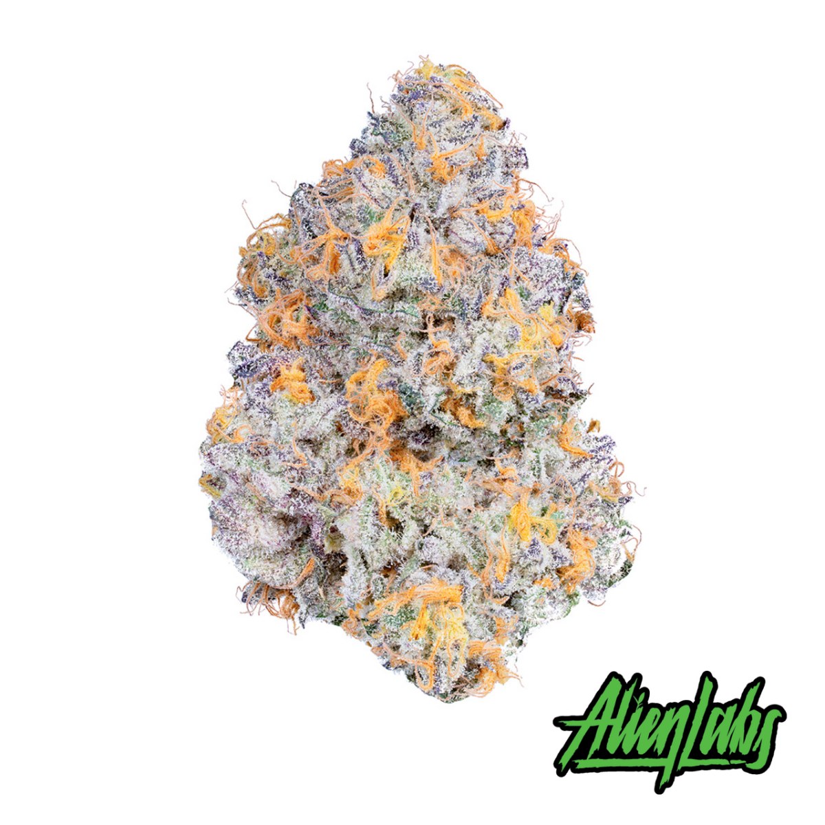 Dark Web strain flower image 4