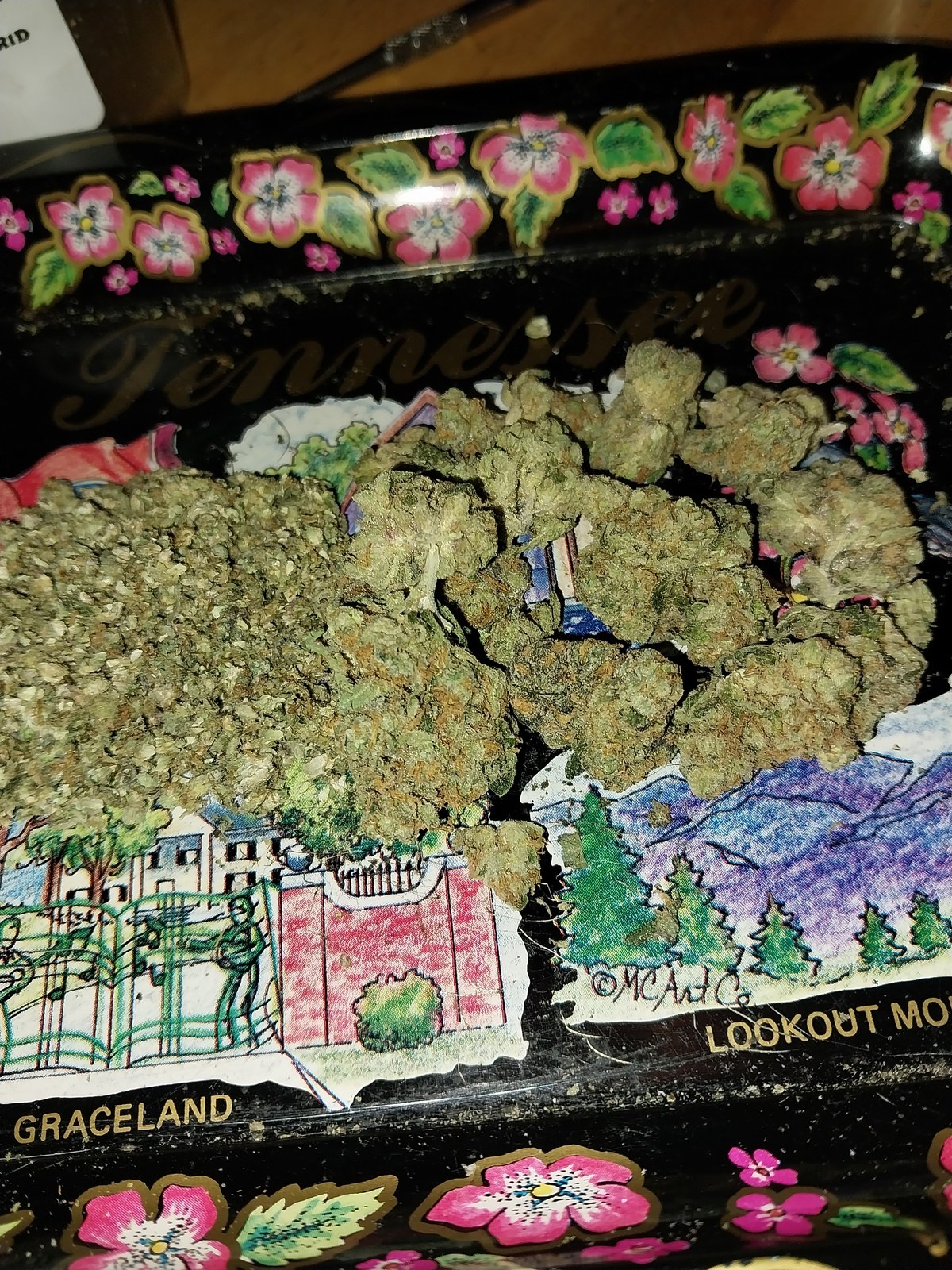 Devil strain flower image 3