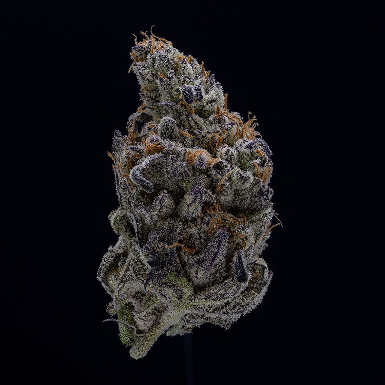 Devil Driver strain flower image 6