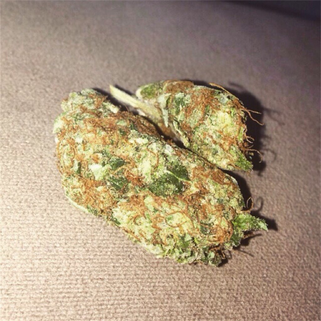 Devil Fruit strain flower image 3