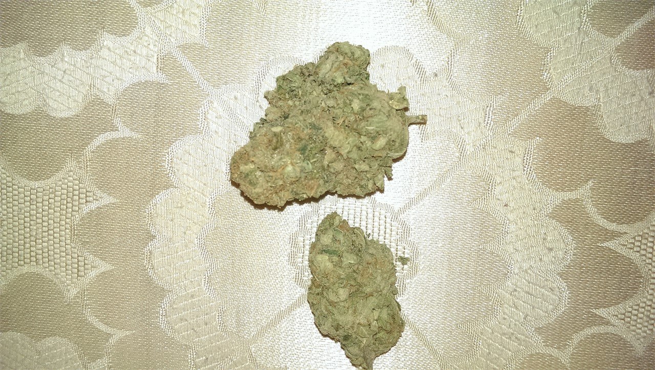 Devil Fruit strain flower image 6