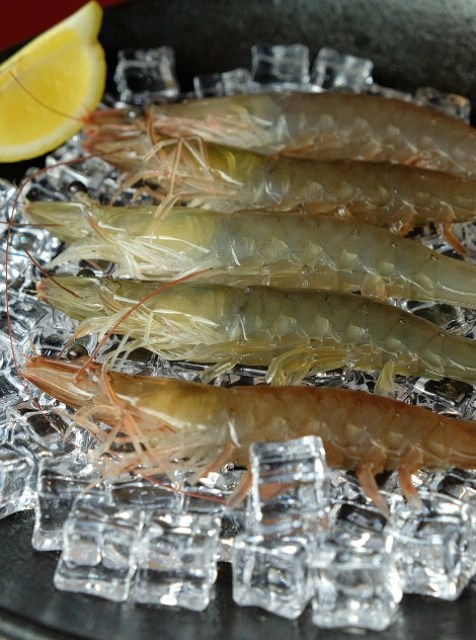Prawns Image