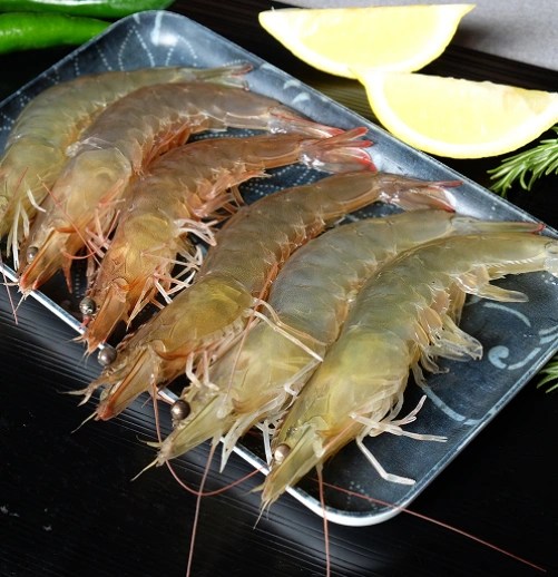 Prawns Image