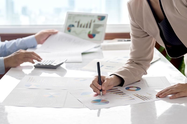 Project Portfolio Health Analysis