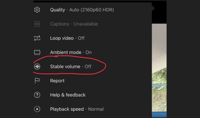 What Is Stable Volume On Youtube Mastering Sound