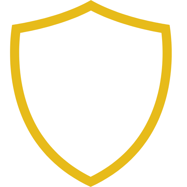 Shield Icon