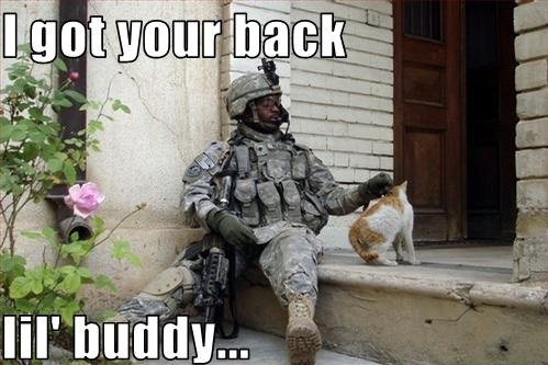 A blog from the center for transgender health nov 18. 😜Veterans Day Memes Images For Facebook 😎 WhatsApp