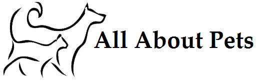 veterinarian in omaha ne all about pets veterinary center on all about pets omaha