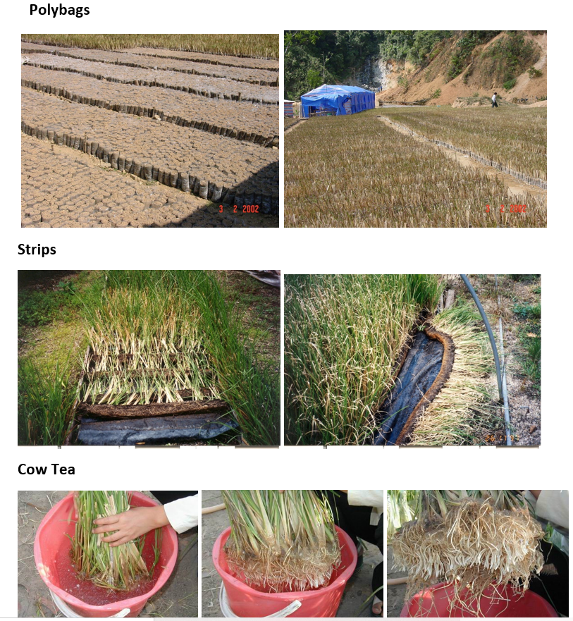 Photo 19. Some other propagation methods.
