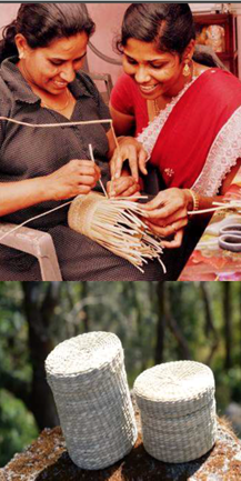 Photo 1. Kerala (India) women’s micro-enterprises being trained in vetiver handicraft making. (Jacob Jose)