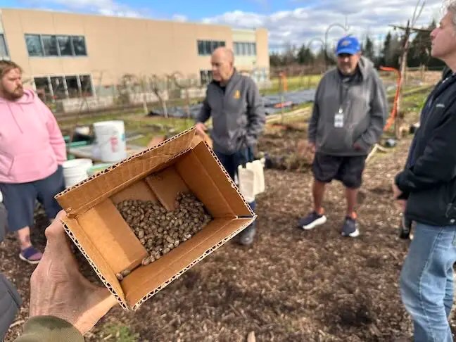 Bybee Lakes Victory Garden Mason Bee workshop, March 2026
