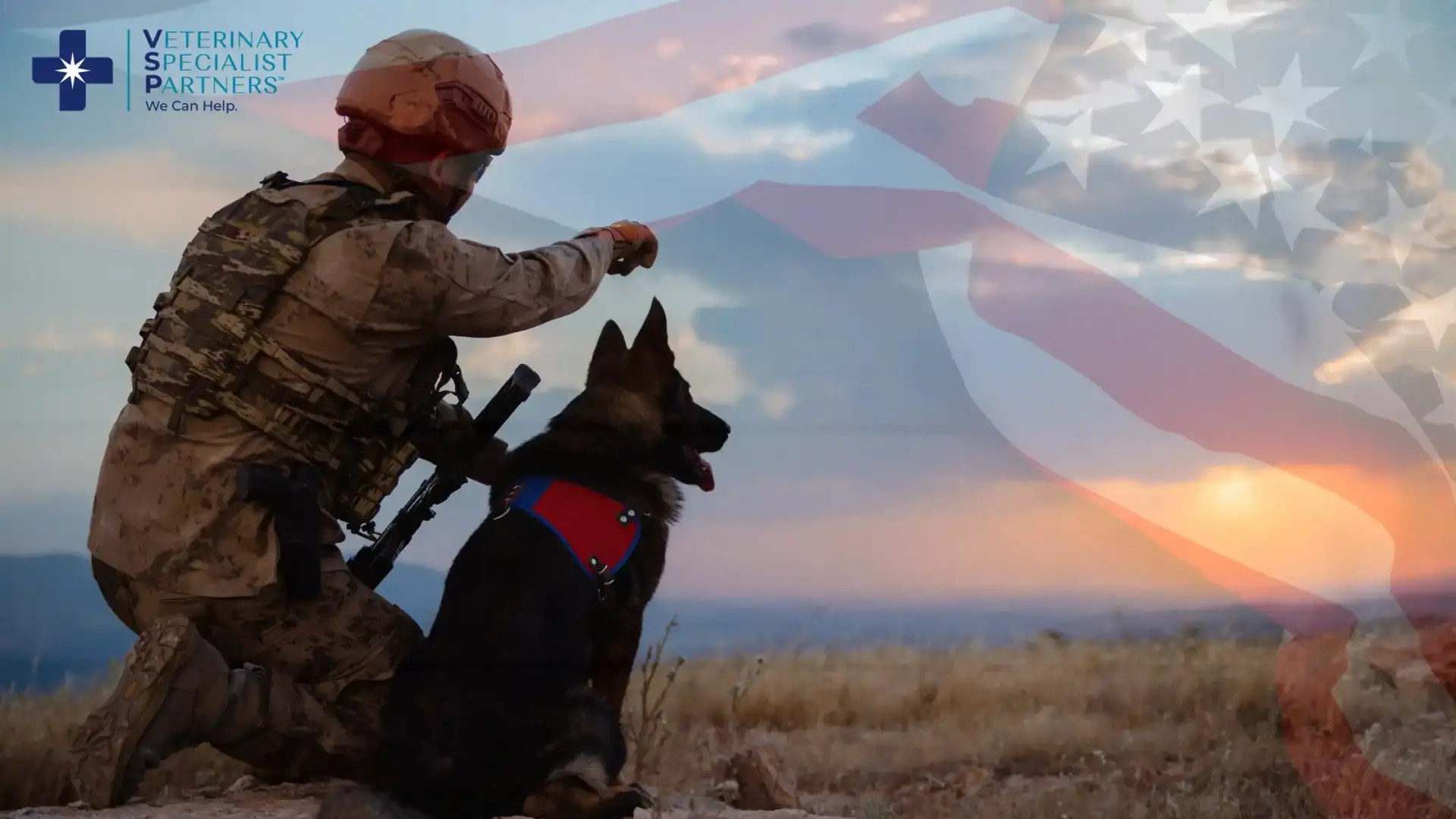 Military member and service dog at sunset with American flag overlay and VSP logo.