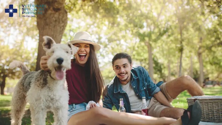 Couple and their terrier enjoying a sunny park picnic with the VSP logo.