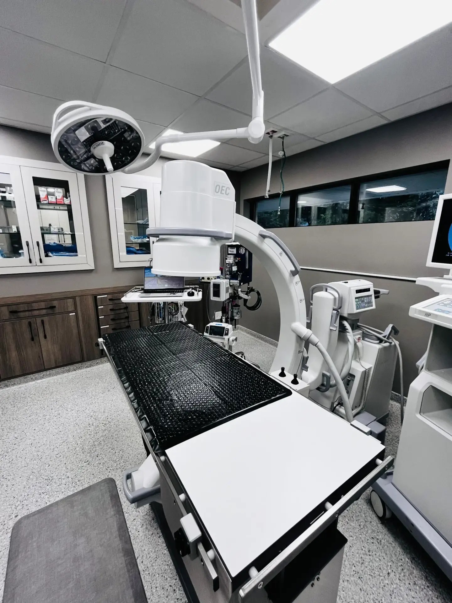 veterinary surgery services
