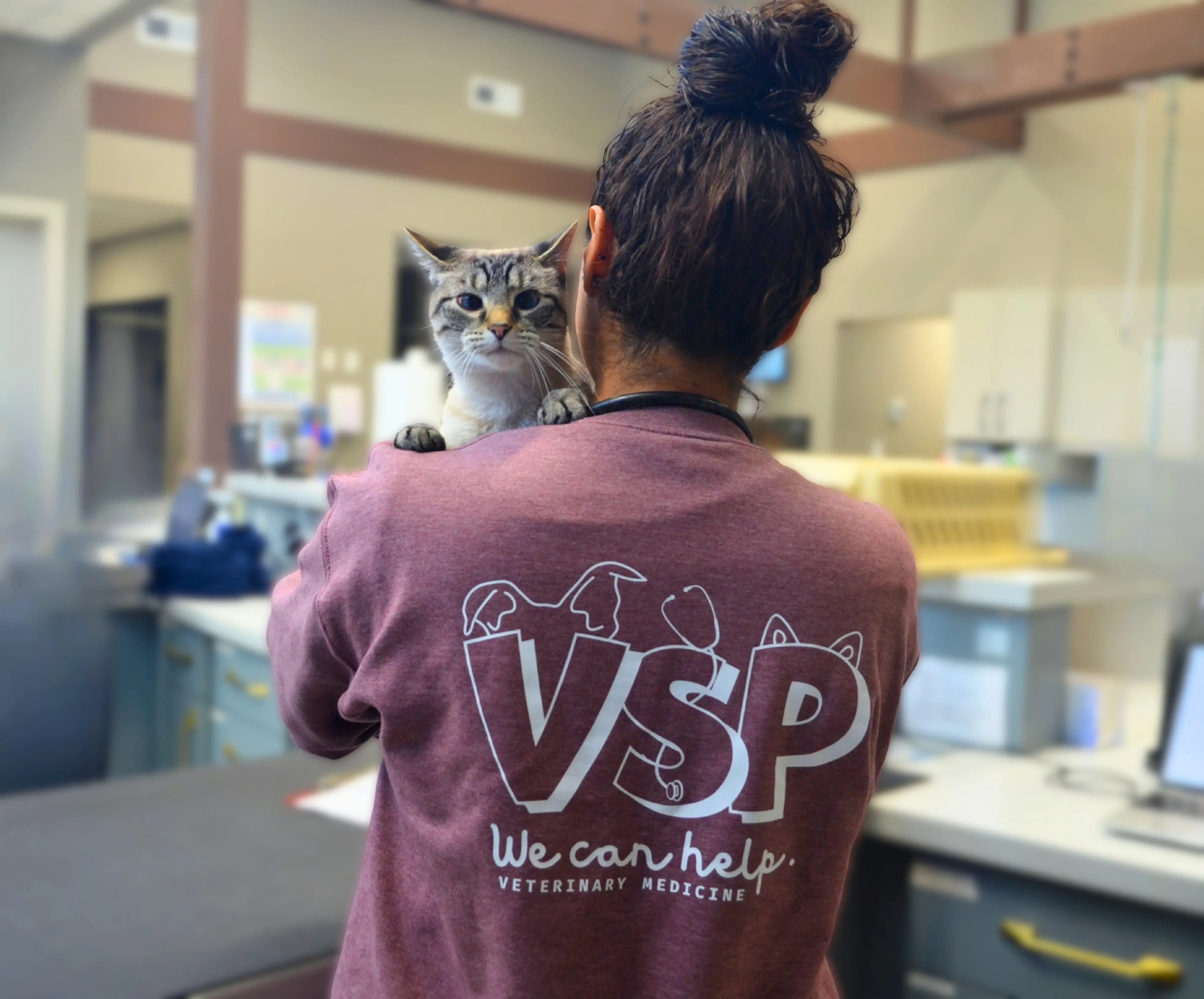 A grey and white cat peeks over the shoulder of a VSP veterinary hospital tech wearing a red sweatshirt with the VSP logo.
