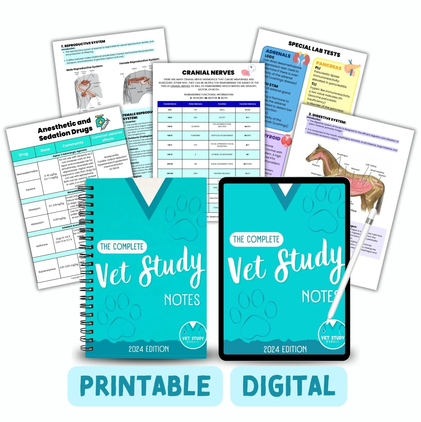 Vetstudybundle Your Destination For Veterinary Success Vet Study Bundle