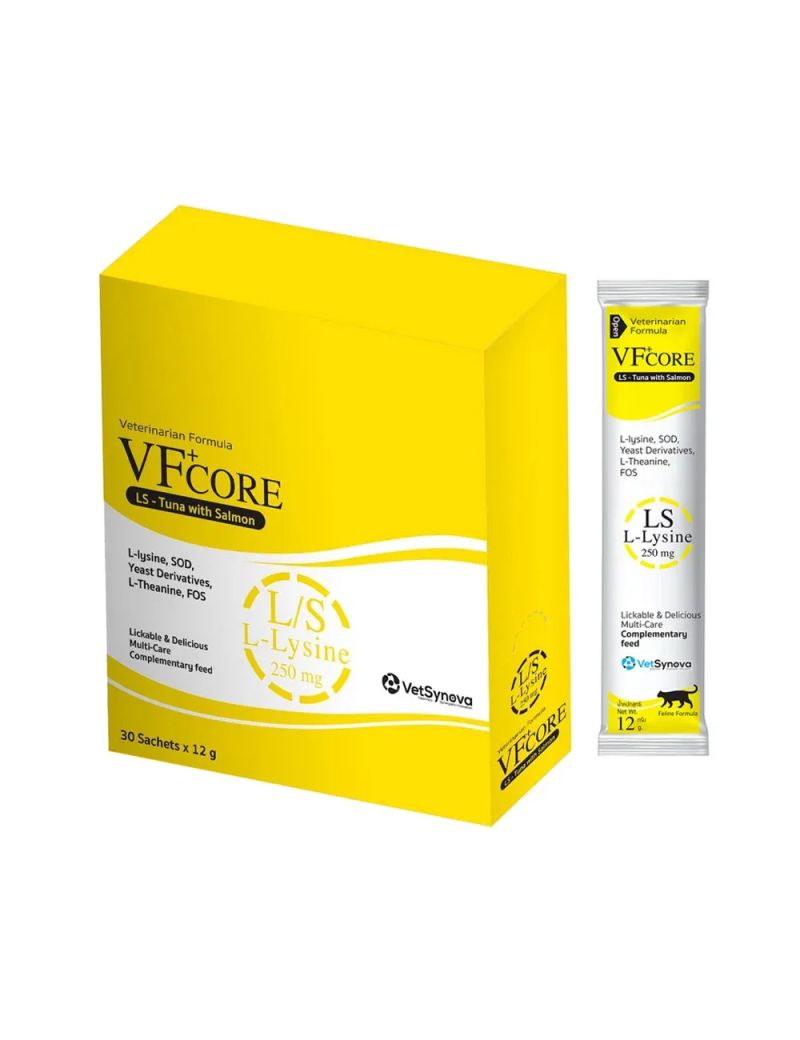 Vfcore - Gradient Background Collection - High Resolution Quality